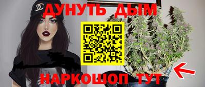 соль ск Гатчина