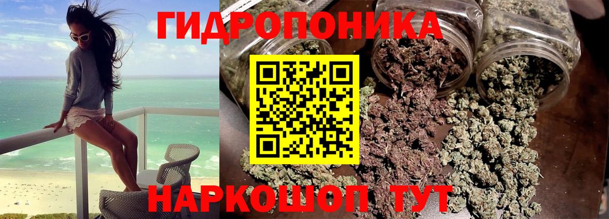 Бошки марихуана марихуана Минеральные Воды